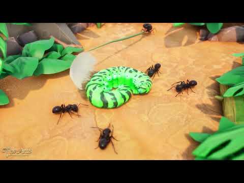 Ants‘ Evolution【THE ANTS: UNDERGROUND KINGDOM】