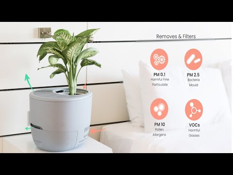 Urbie Air: The most eco-friendly air purifier
