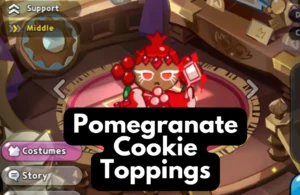 Pomegranate cookie toppings