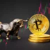 bitcoin price blasts past $55K, a new bull run